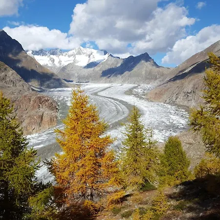 Imhof Alpine Konukevi *