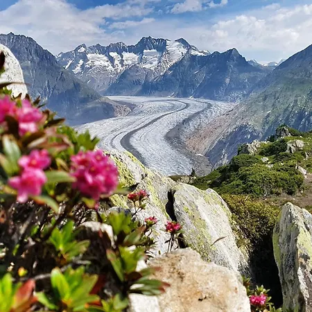 Imhof Alpine 3* بيتميرلاب