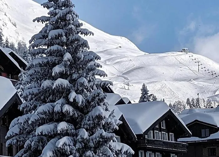 Maison d'hôtes Imhof Alpine Bettmeralp
