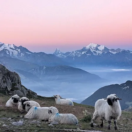 Imhof Alpine *